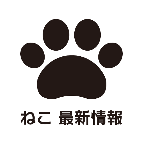 ねこ 最新情報